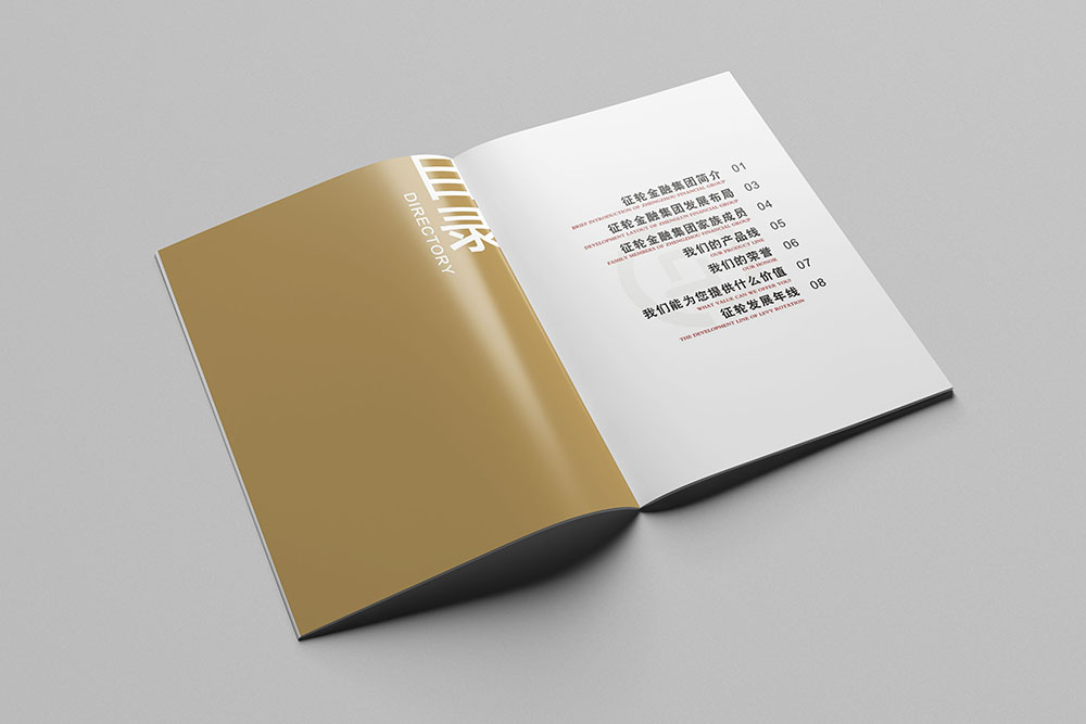 金融企業(yè)畫冊(cè)設(shè)計(jì)-簡(jiǎn)約大氣金融畫冊(cè)設(shè)計(jì)