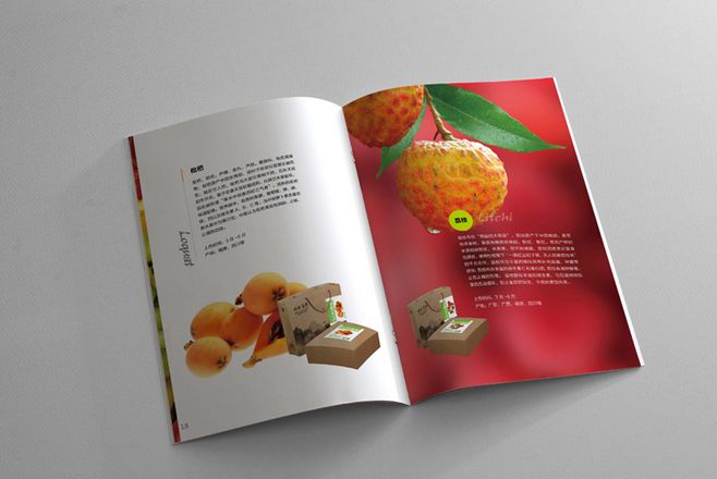 宣傳冊(cè)設(shè)計(jì)一般一頁多少錢？宣傳冊(cè)的特點(diǎn)有哪些？