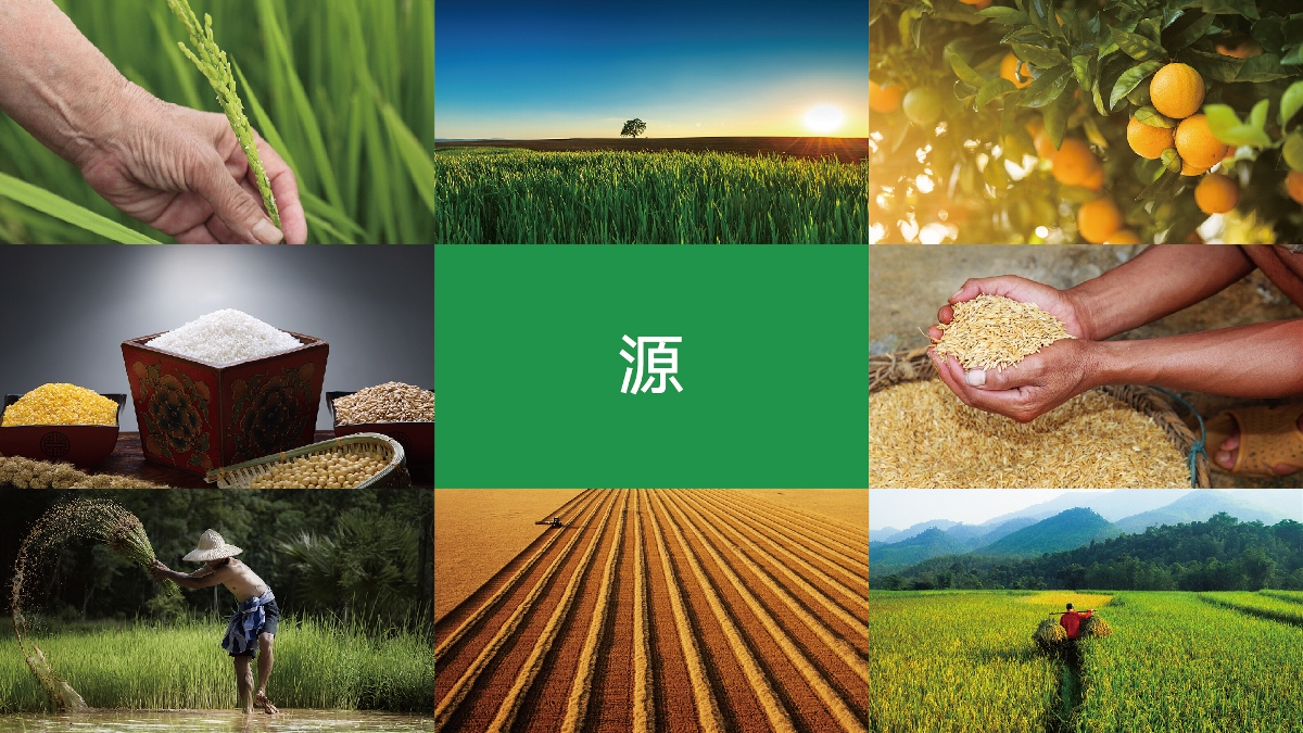 農(nóng)產(chǎn)品品牌設(shè)計(jì)技巧有哪些？怎樣塑造品牌形象