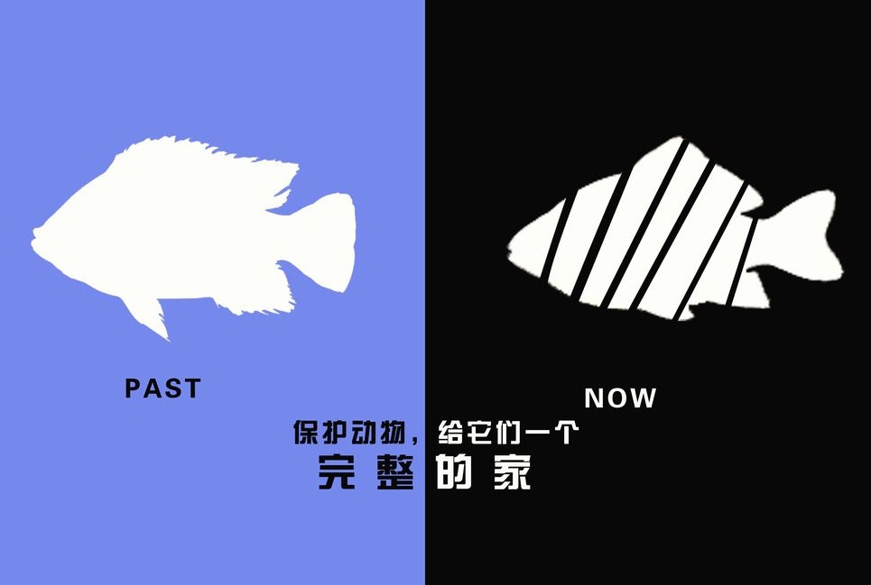 廣告設(shè)計制作有哪些要求？有哪些注意事項？