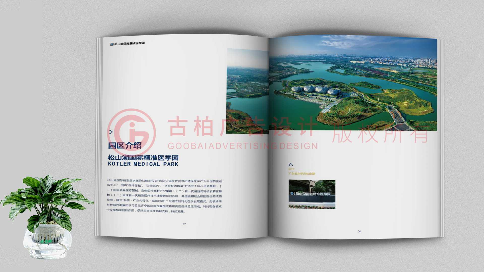 一本聚會紀念冊該如何通過排版來提升整體的美觀性？