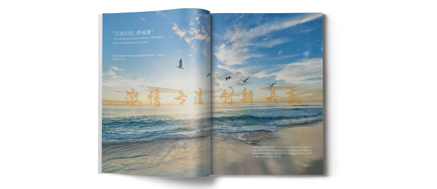 水上樂園畫冊的一些設(shè)計(jì)技巧？
