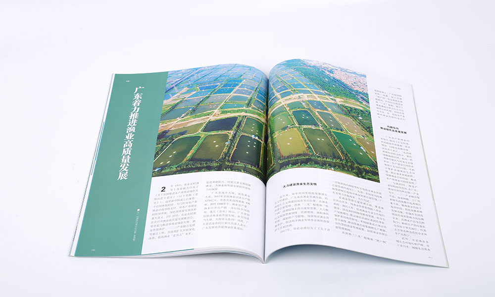 電子宣傳冊字體大概要多久？