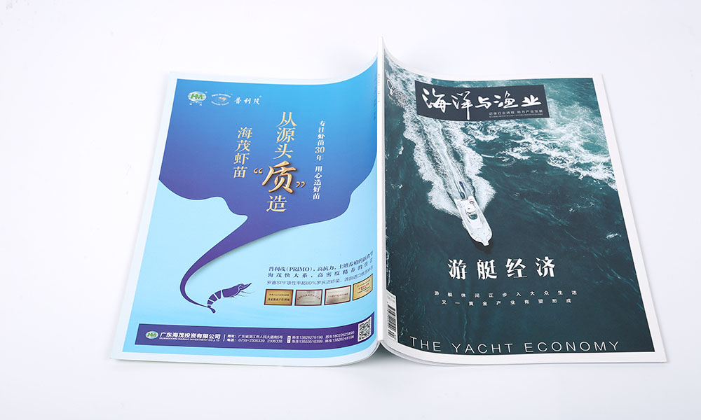 一個(gè)畫(huà)冊(cè)設(shè)計(jì)如何？